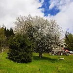 Ferienhaus Historisches Aschberg Haisl Klingenthal, Terrasse, Großer Garten 6 2 Personen