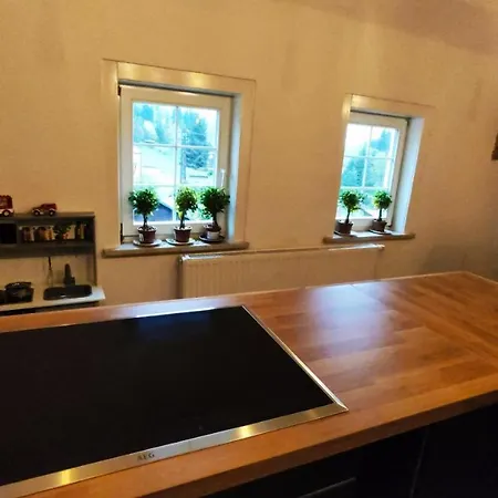 Vakantiehuis Historisches Aschberg Haisl Klingenthal, Terrasse, Grosser Garten 6 2 Personen *