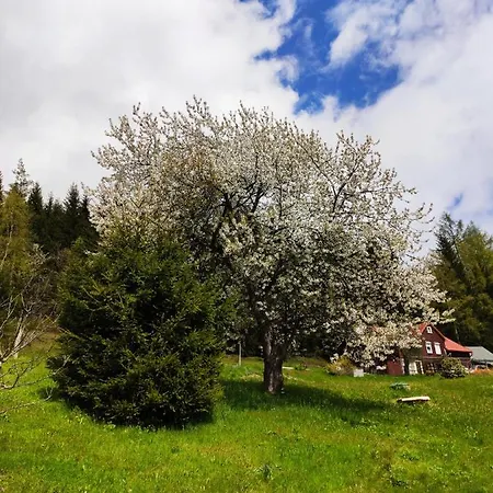 בית נופש Historisches Aschberg Haisl Klingenthal, Terrasse, Grosser Garten 6 2 Personen