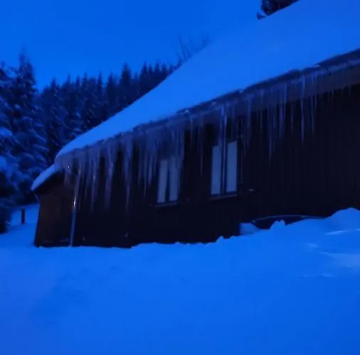 بيت للعطل Historisches Aschberg Haisl Klingenthal, Terrasse, Grosser Garten 6 2 Personen