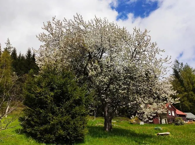 بيت للعطل Historisches Aschberg Haisl Klingenthal, Terrasse, Grosser Garten 6 2 Personen